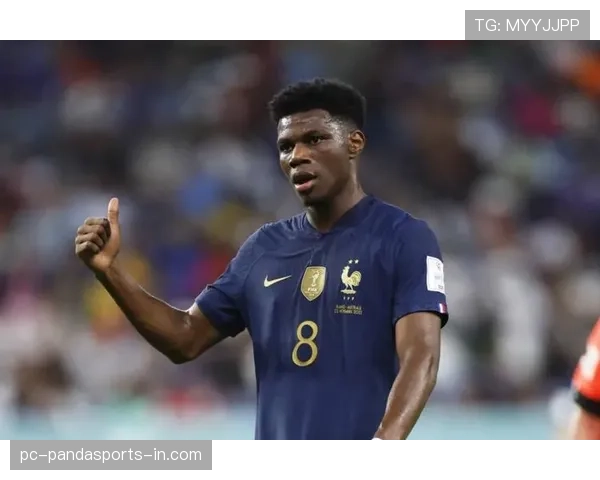 琼阿梅尼点球失误引发的技术稳定性与心理抗压能力分析