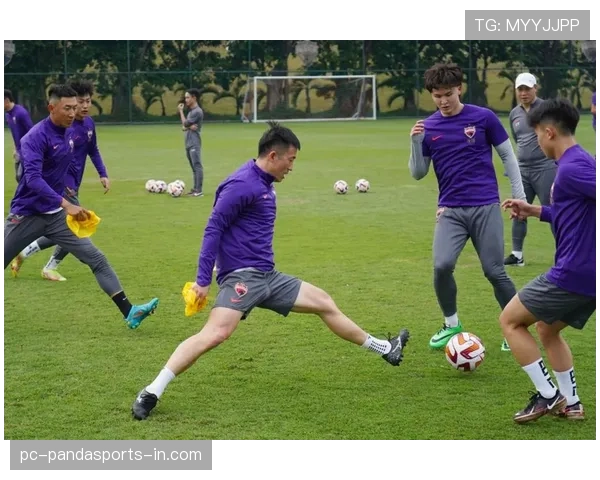 北京国安防守问题聚焦整体站位与个人能力，当前阶段表现受限，防线稳定性面临考验