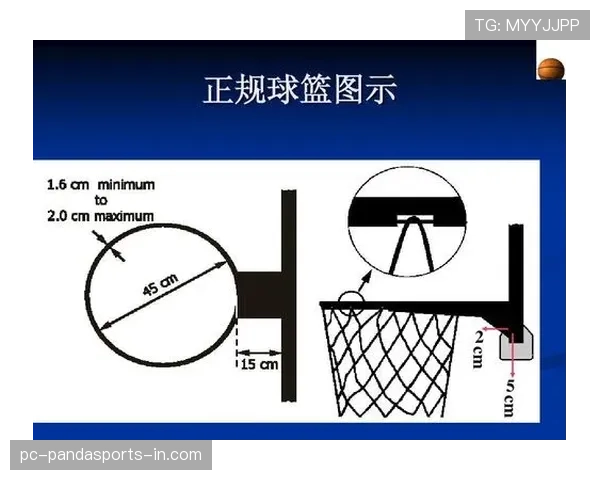 篮球规则深度解析：圆柱体原则的定义与判罚标准